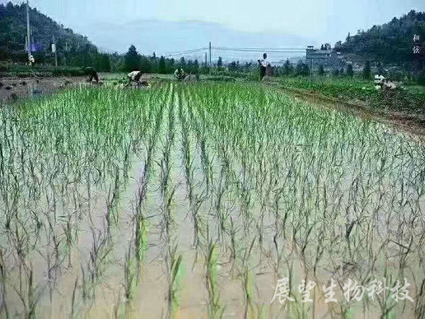 ���ʵ���������