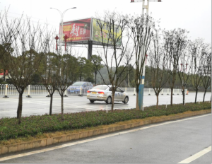 ũ����Ʒ�ӹ�,��ʳ�չ�,���ϵ���ֲ,����ʡ3499��˹ά��˹��������Ƽ���չ���޹�˾